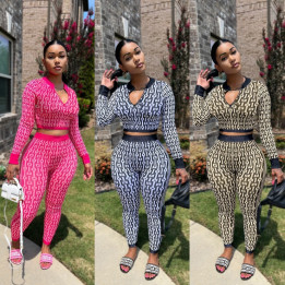 Stretch Knit Printed Set Long-Sleeve Two-Piece | Anvare