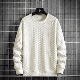 Mens Loose-Fit Casual Crew-Neck Pullover Bottoming Shirt | Anvare