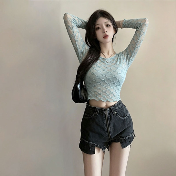 Hollow-out Lace Long-sleeve Spicy-girl Top | Anvare