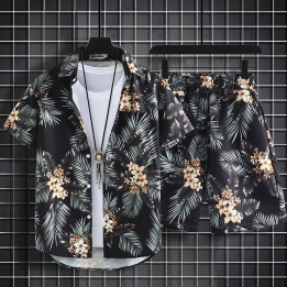 Men's Hawaiian Style Beach Pants Loose Quick-dry Casual Short Sleeve Printed Shirt Suit | Anvare